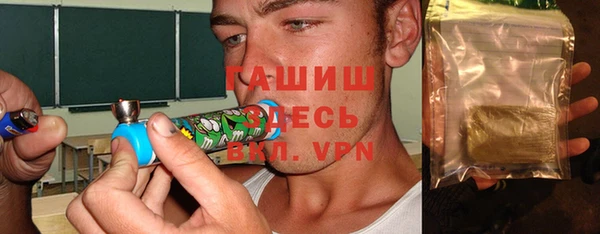 крисы Мегион