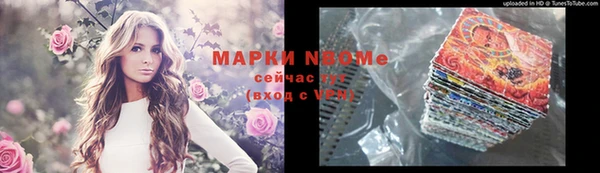 крисы Мегион