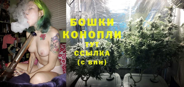 крисы Мегион