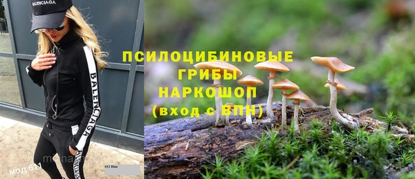 МДПВ Медногорск