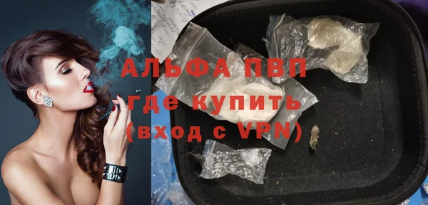 крисы Мегион