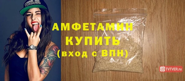 крисы Мегион
