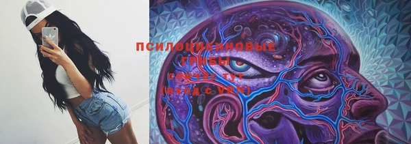 крисы Мегион