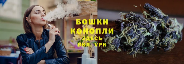 крисы Мегион