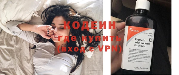 крисы Мегион