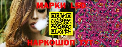 apvp Бийск