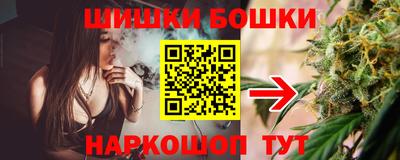 apvp Бийск