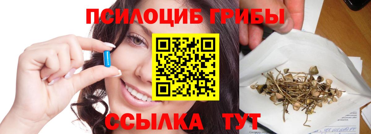 Галлюциногенные грибы мицелий  Псилоцибиновые грибы Cubensis  как найти закладки  Реутов  Вход с VPN 